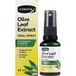 Comvita Olive Leaf Extract Oral Spray Peppermint & Lemon 30ml Hot on Sale