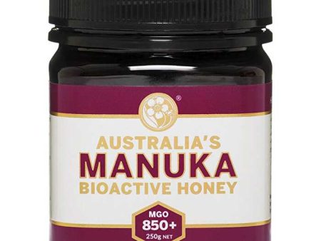 Australia s Manuka Bioactive Honey MGO850+ 250g Online Hot Sale