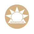 Amazonia Raw Protein Organic Paleo Gentle Digest Chocolate 500g Online now