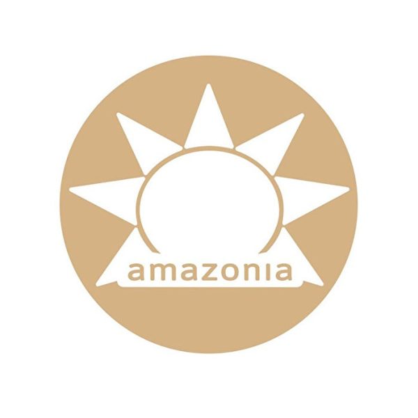 Amazonia Raw Protein Organic Paleo Gentle Digest Chocolate 500g Online now